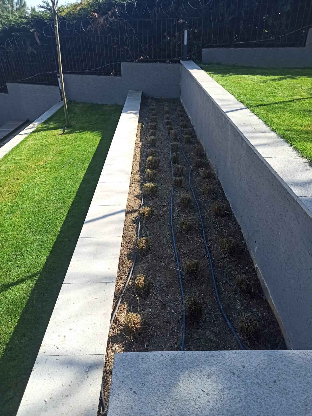 GÜNEŞ TARIM PEYZAJ VE TEMİZLİK